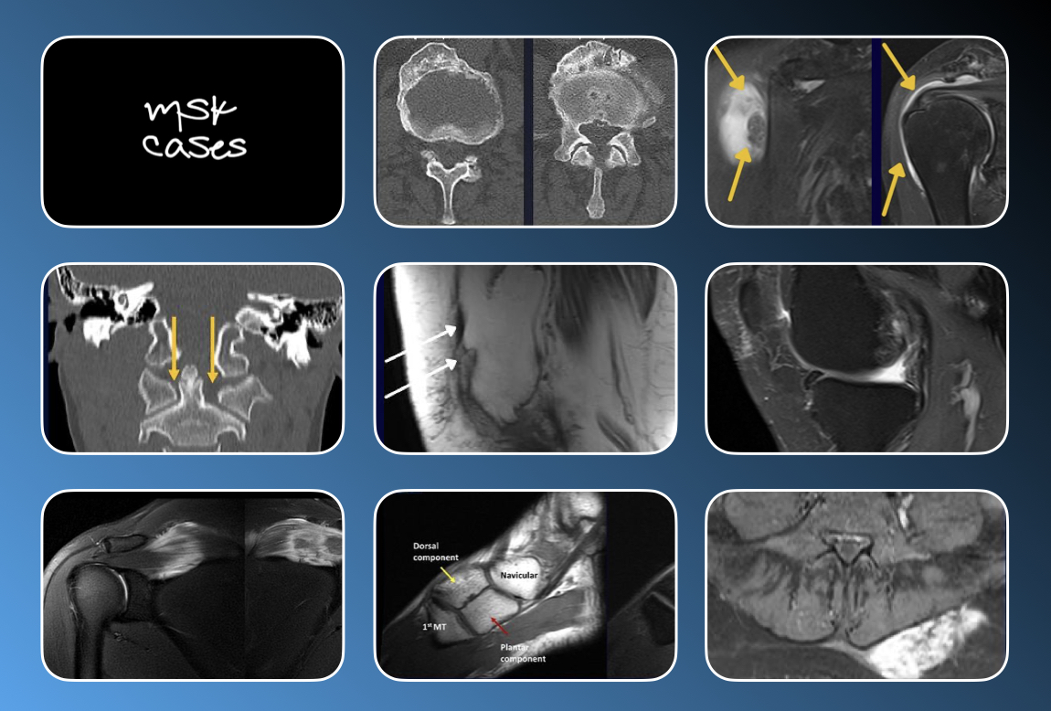 Radiology in Brazil | BerlinCaseViewer by BerlinFlame GmbH