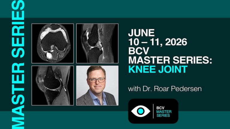 BCV Master Series: Knee Joint