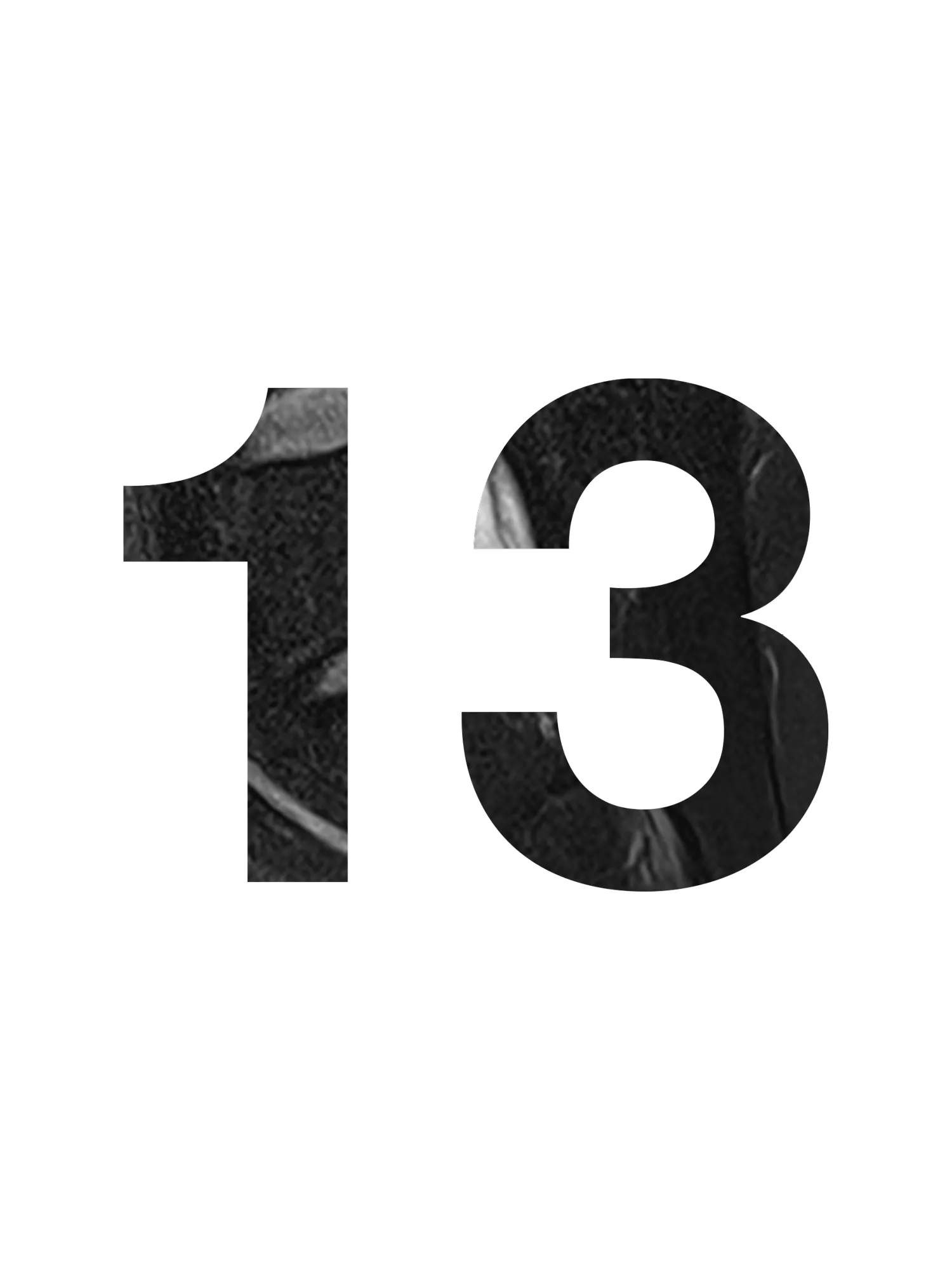 Door 13