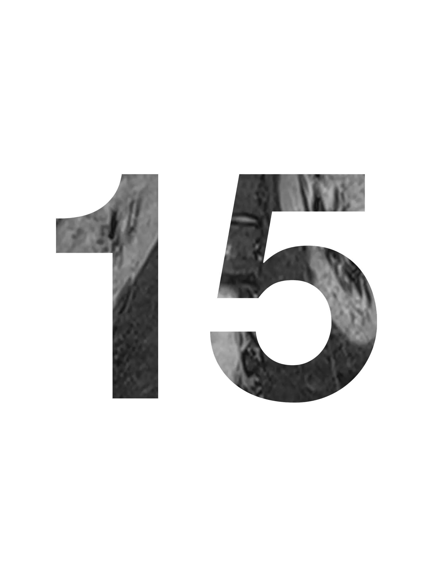 Door 15