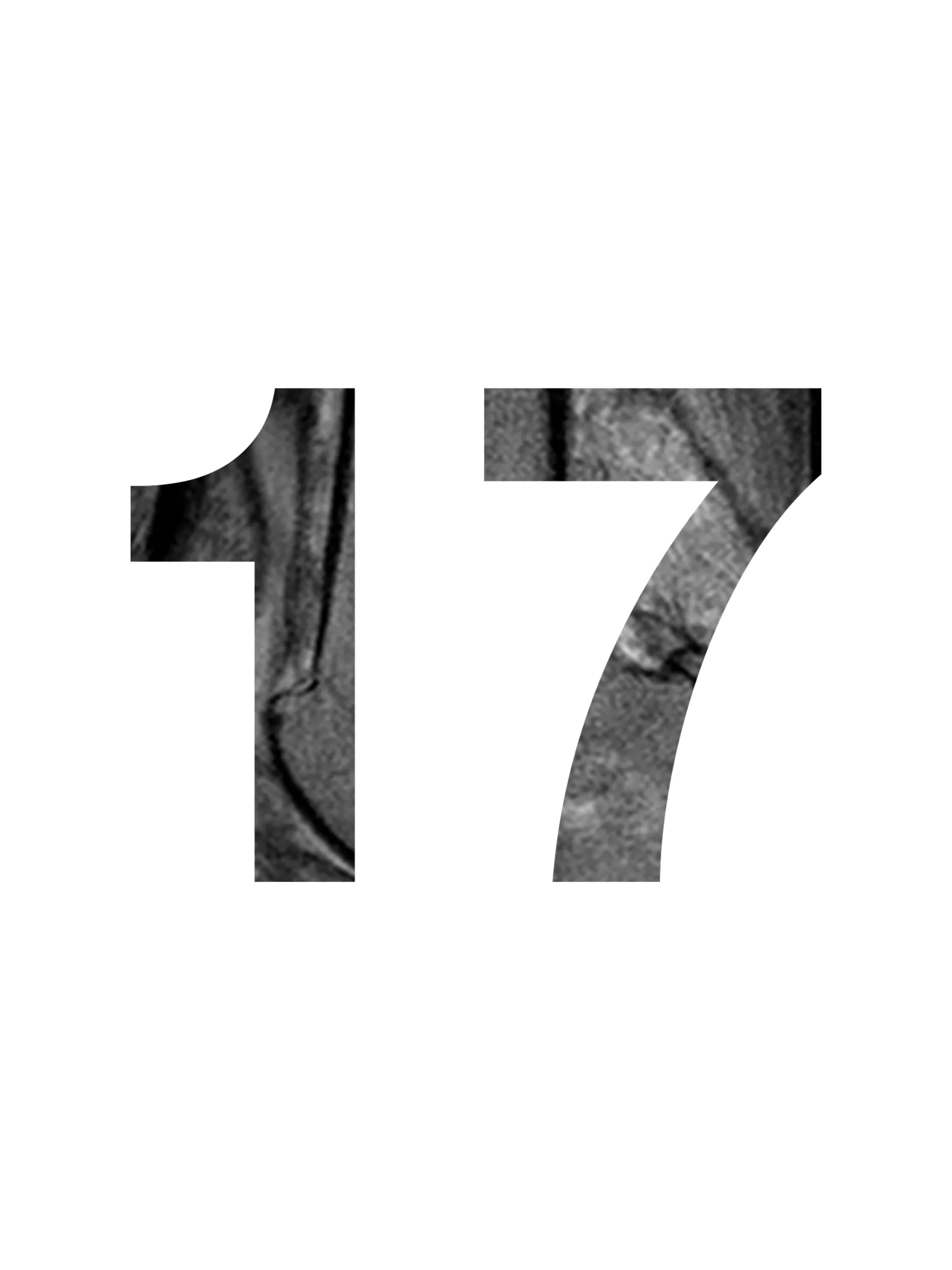 Door 17