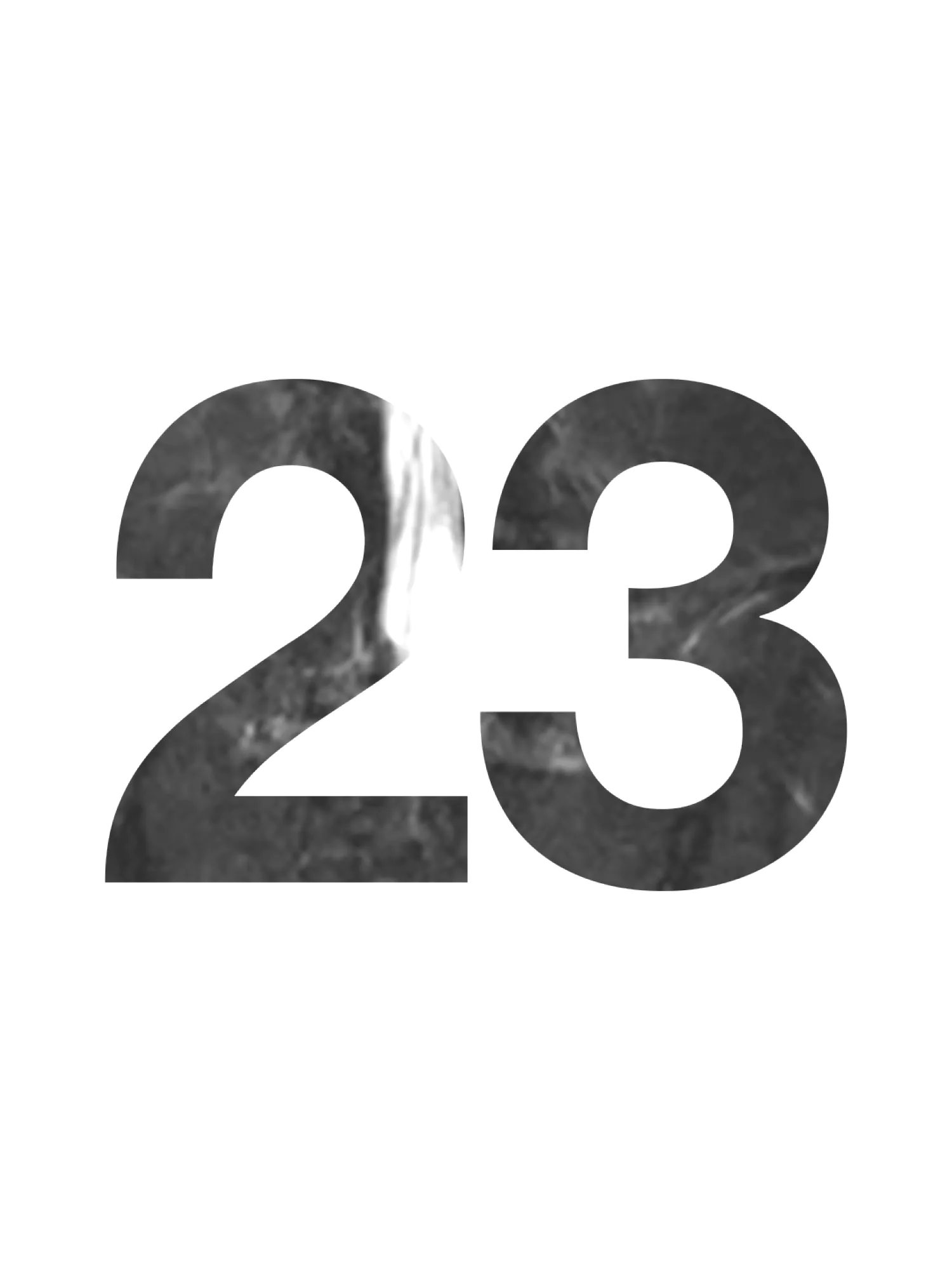 Door 23