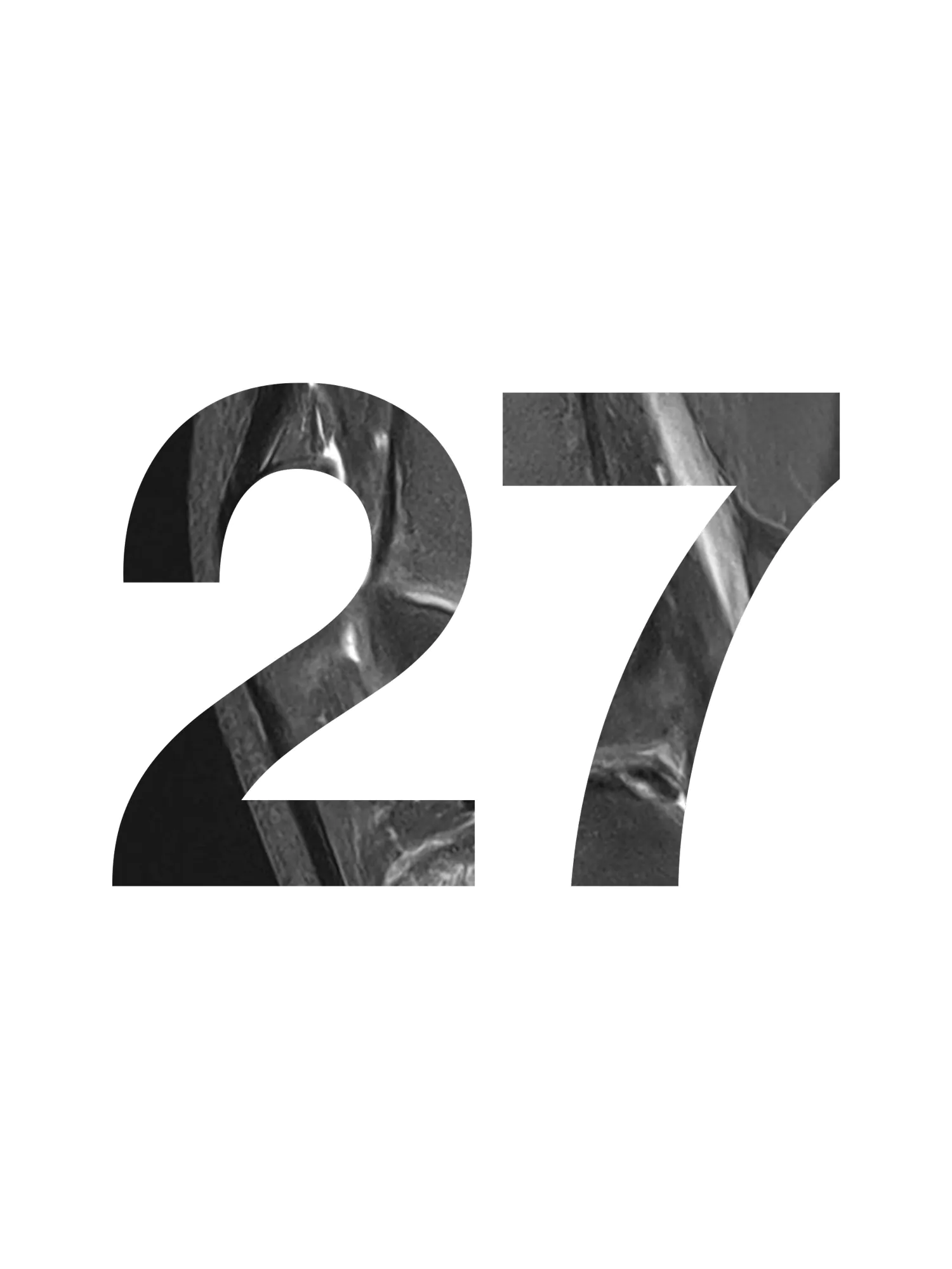 Door 27