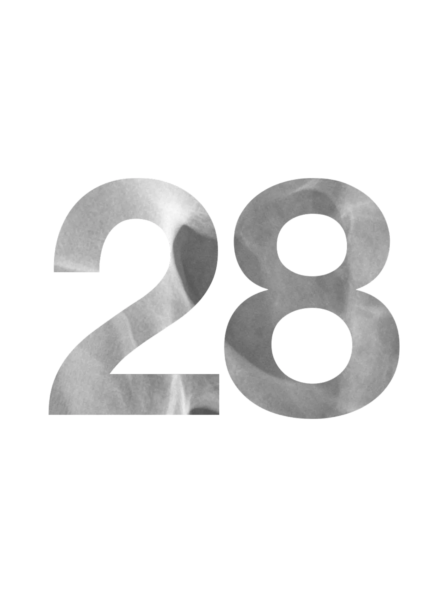 Door 28